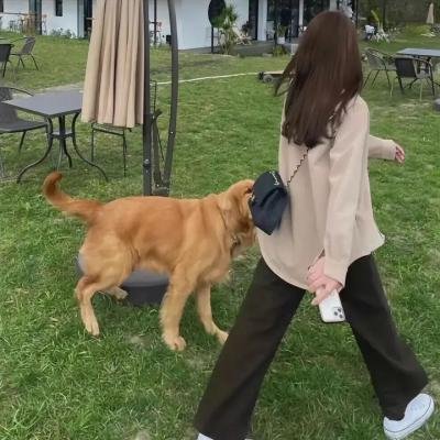 谁是被害者第二季